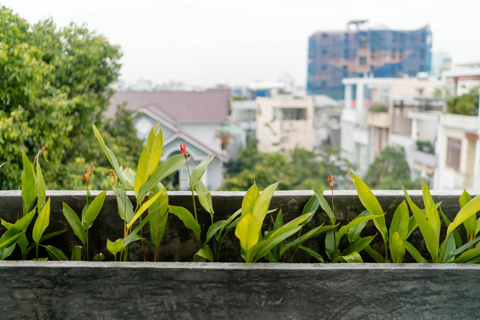 Iam Saigon Homestay Ho Chi Minh-Byen Eksteriør billede
