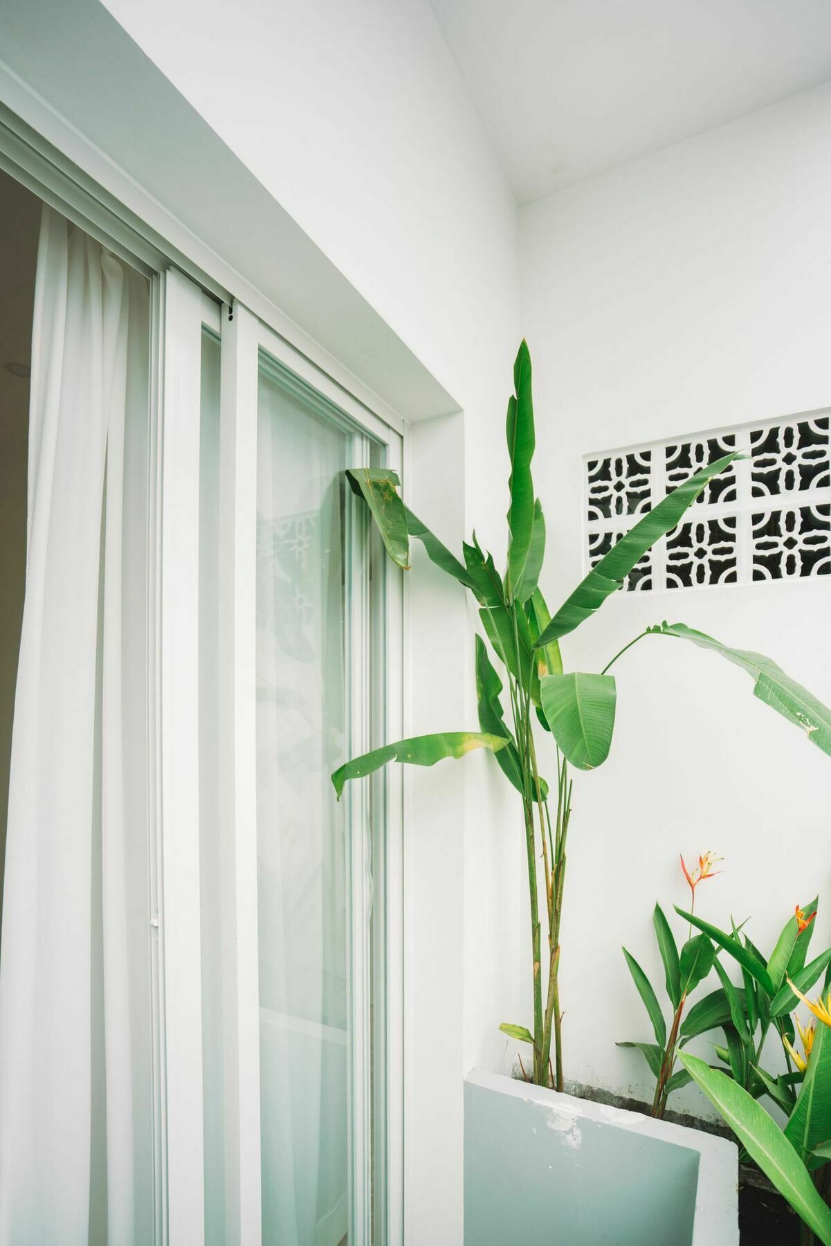 Iam Saigon Homestay Ho Chi Minh-Byen Eksteriør billede