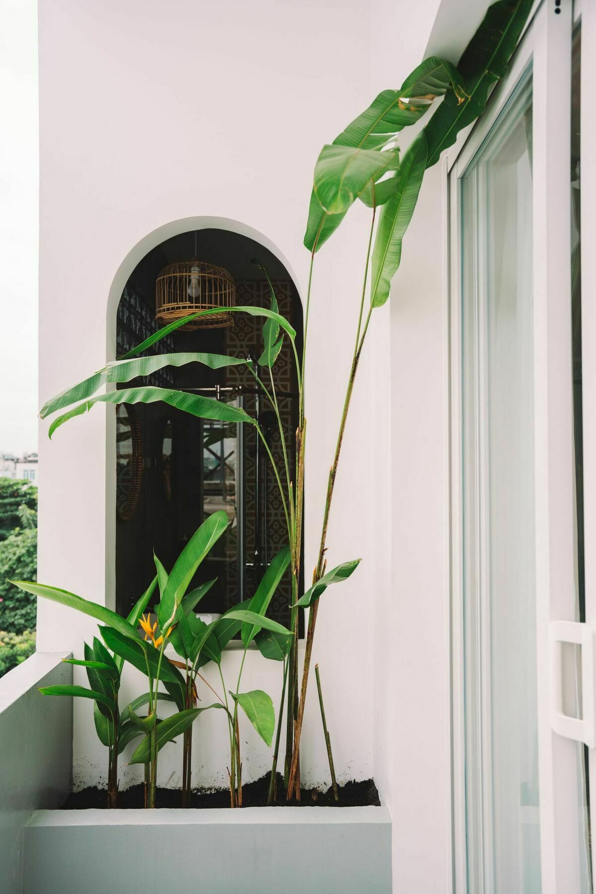Iam Saigon Homestay Ho Chi Minh-Byen Eksteriør billede